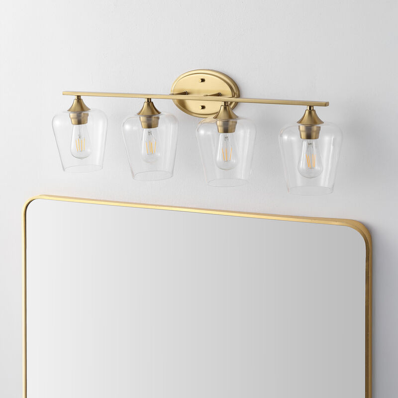 Jayne Iron/Glass Cottage Rustic LED Vanity Light