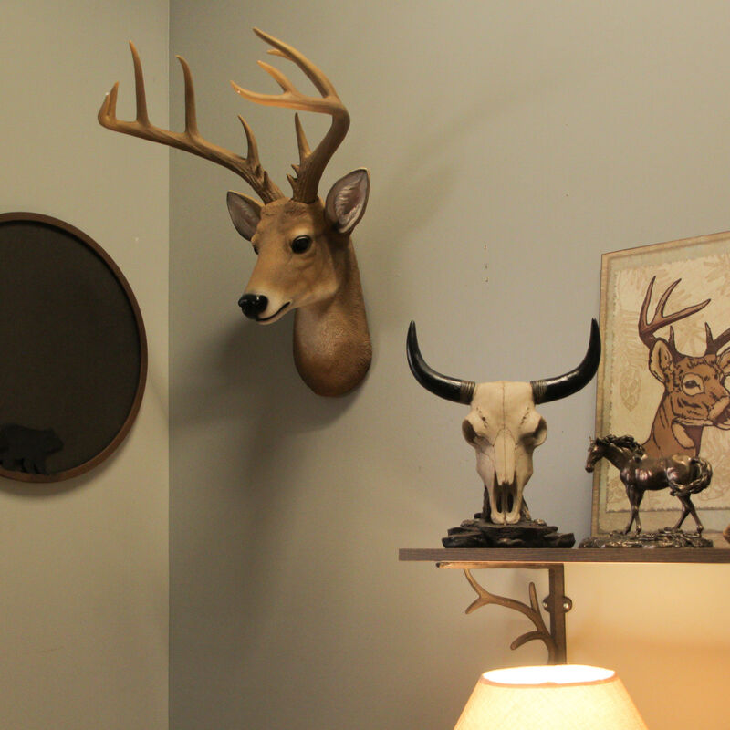 12 Point Buck Deer Head Bust Wall Hanging image number 7