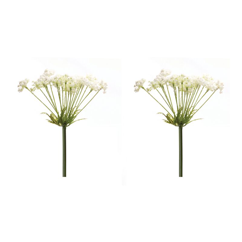 Queen Anne's Lace Stem Set of 2 for Floral Arrangements and Home Decor