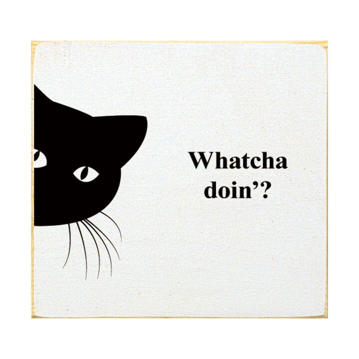 Funny Cat Wooden Sign Cute Cat Wall Decor Gift for Cat Lovers