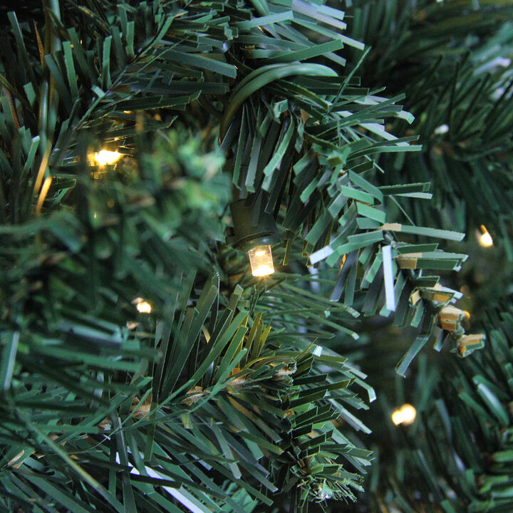 12' Pre-Lit Buffalo Fir Full Artificial Christmas Tree - Warm White LED Lights