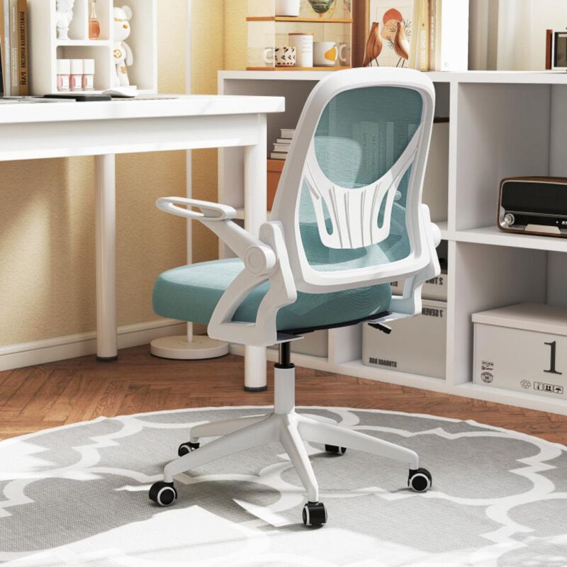 Hivvago Ergonomic Computer Desk Chair with Lumbar Support and Flip-up Arms