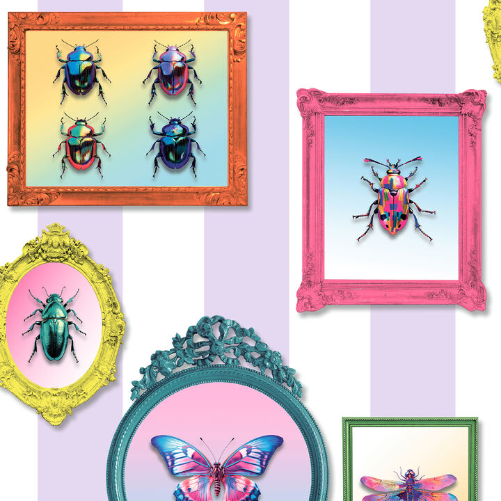 Entomology Gallery Wallpaper