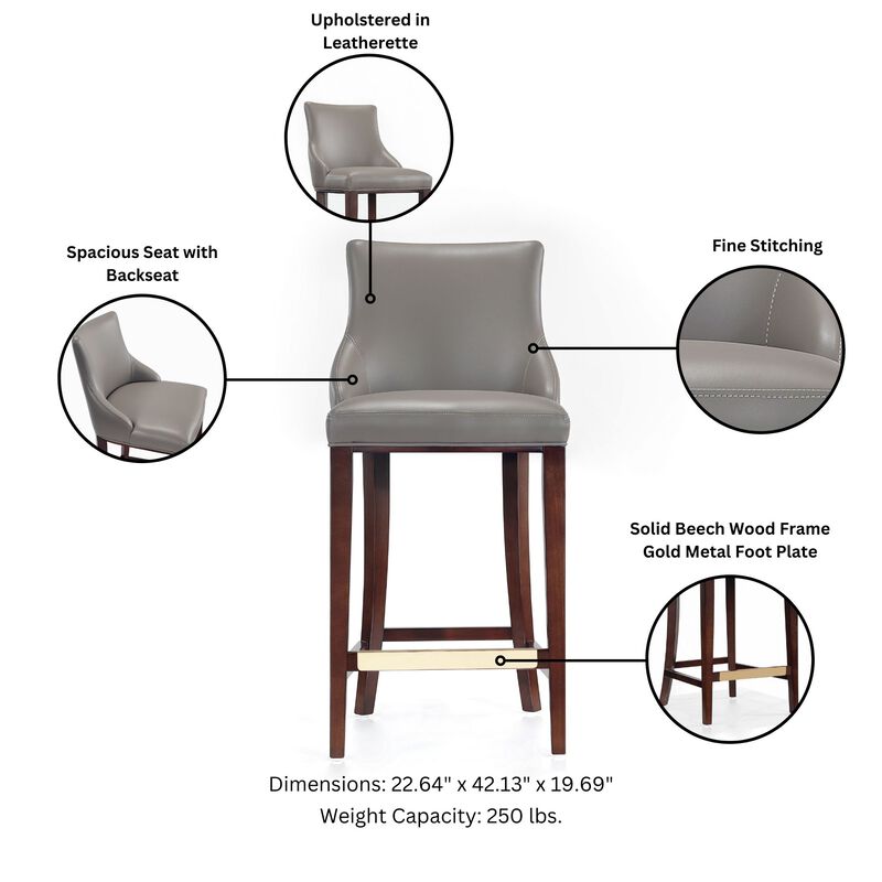 Shubert Dark Gray Barstool