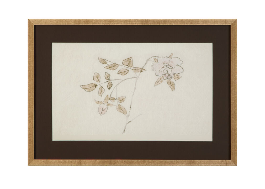 Delicate Rose II Framed Print
