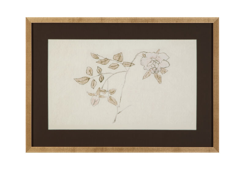 Delicate Rose II Framed Print image number 0