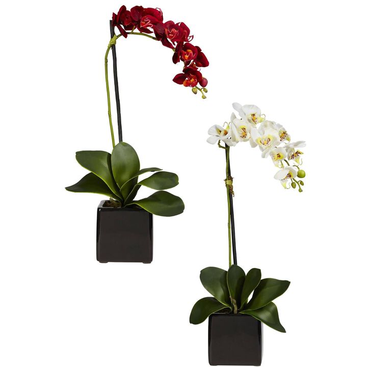 Nearly Natural 20-in Phaleanopsis Orchid w/Black Vase (Set of 2)