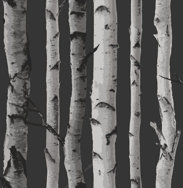 Distinctive Black Birch Tree Wallpaper (Set of 2)