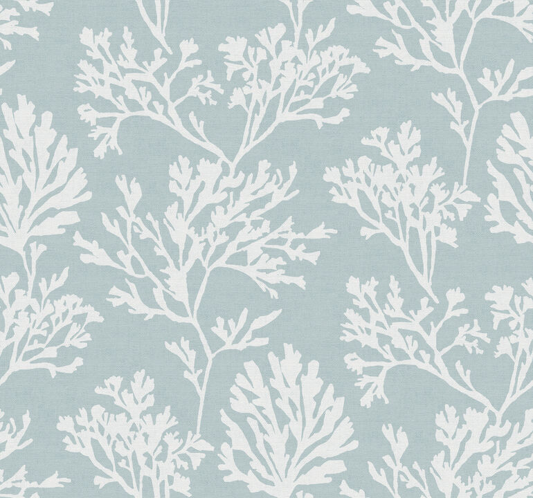 Tortuga Sky Blue Coral Wallpaper