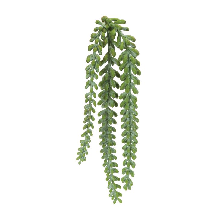 Set of 12 Hanging Sedum Succulent Sprays for Wall Decor, Vases, or Planters