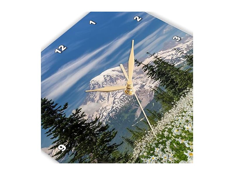 Washington Mount Rainier National Park Wall Clock 15 Inch Silent Home Decor image number 3