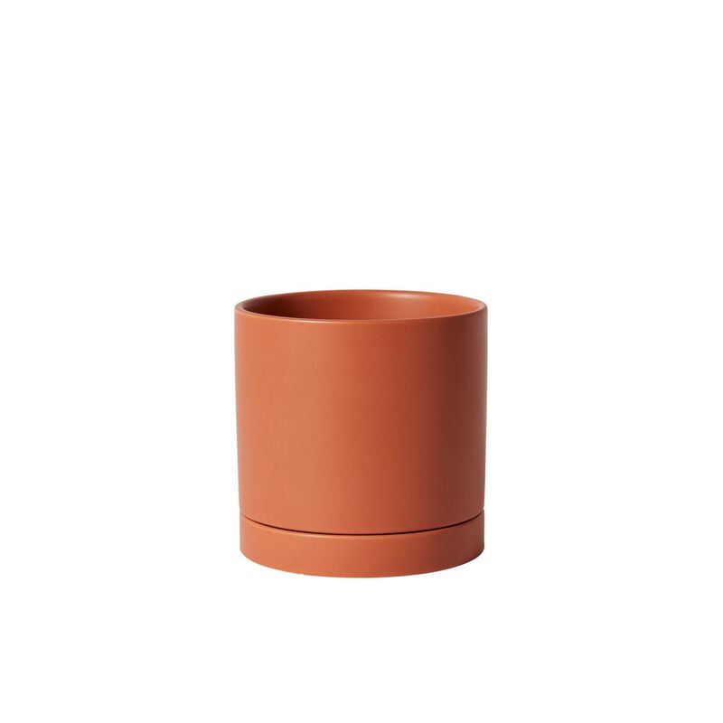 Katy Indoor Ceramic Pot Ochre image number 0