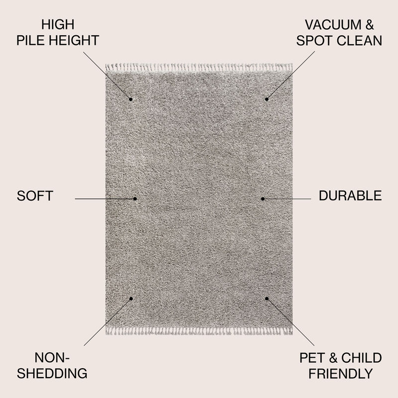 Mercer Shag Plush Tassel Area Rug