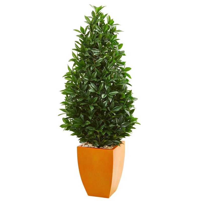 Nearly Natural 57-in Bay Leaf Cone Topiary in Org Planter UV (Indoor/Outdoor)