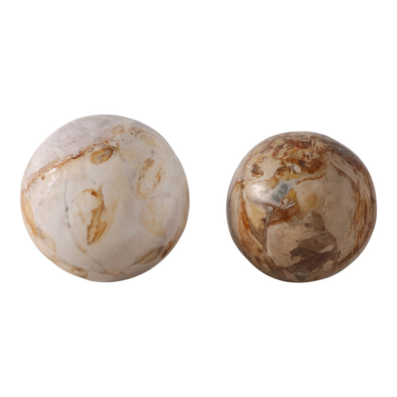 S/2 5/6" Petrified Wood Orbs, Ivory image number 2