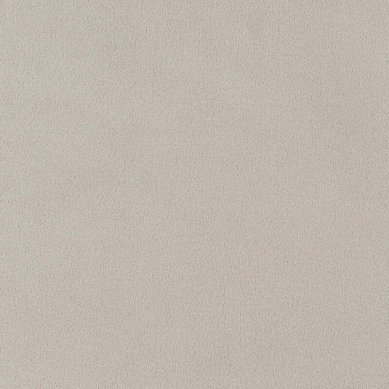 Coaster Co. of America Alana Upholstered Tufted Arm Chair with Nailhead Trim