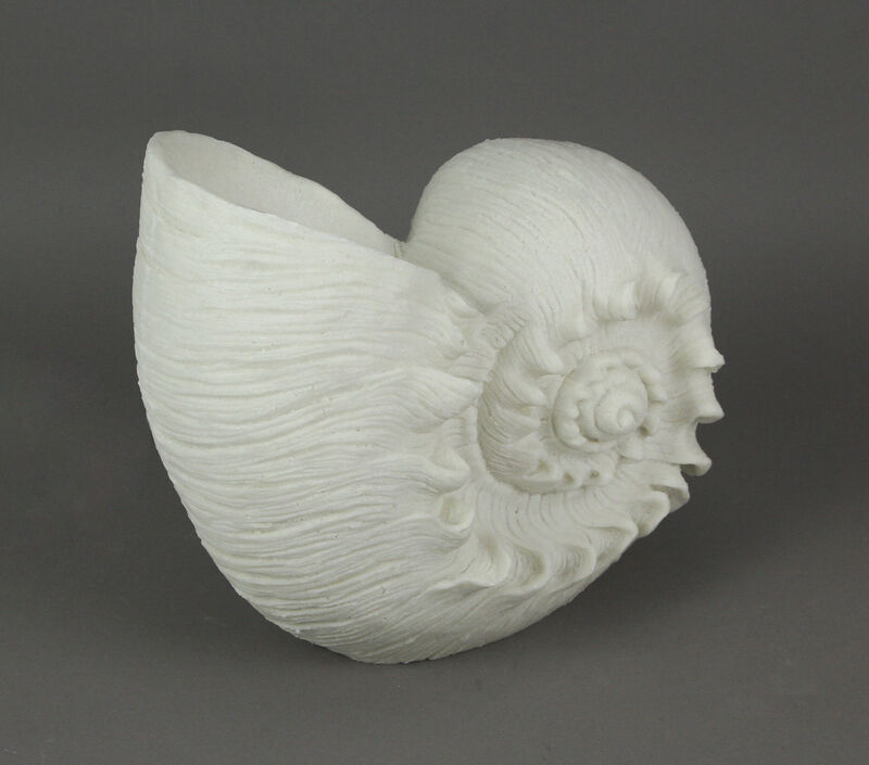 White Sandstone Finish Frilled Nautilus Shell Accent Lamp 10 Inches High image number 4