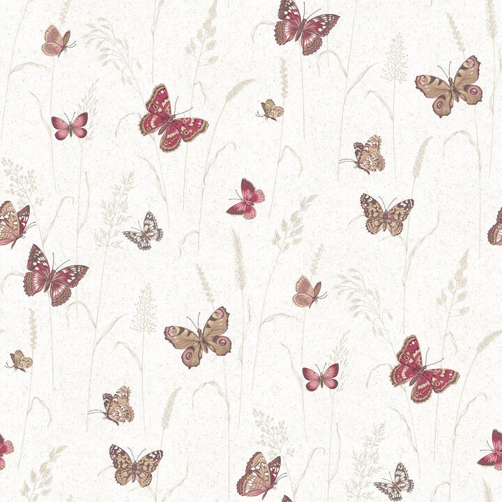 Kitchen Recipes Animal Beige Wallpaper G12254