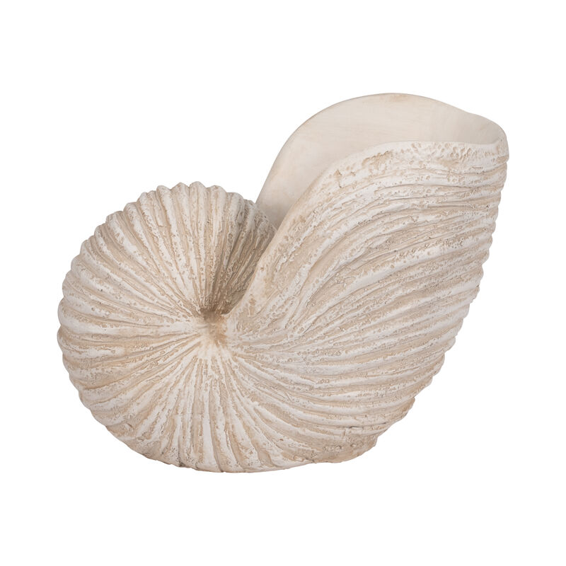18" Shell Sculpture, Ivory image number 0