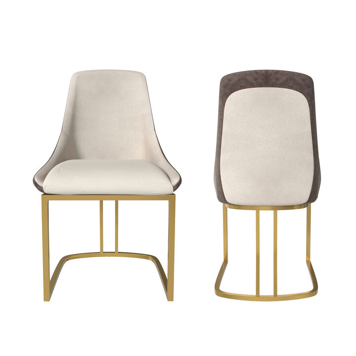 Modern Dining Chair with Metal Legs(Set of 2)