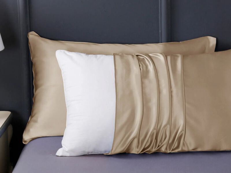 LilySilk 100% 19 Momme Pure Silk Pillowcase