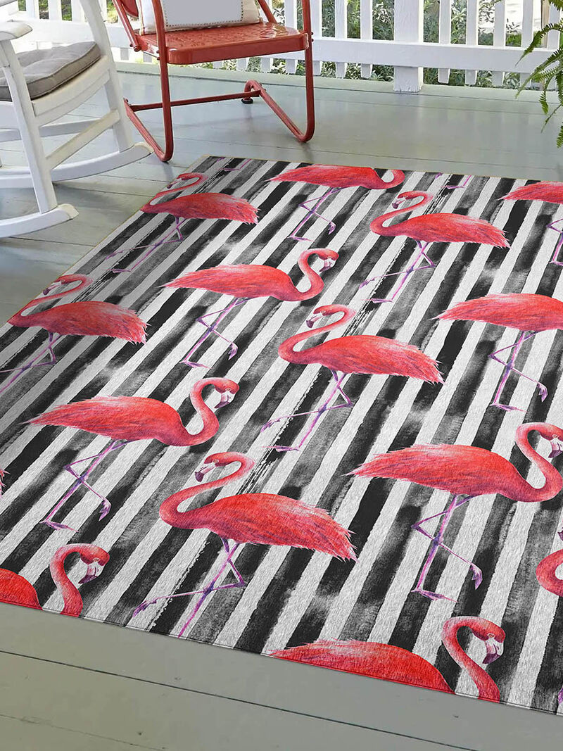 Tropics TC9 Collection