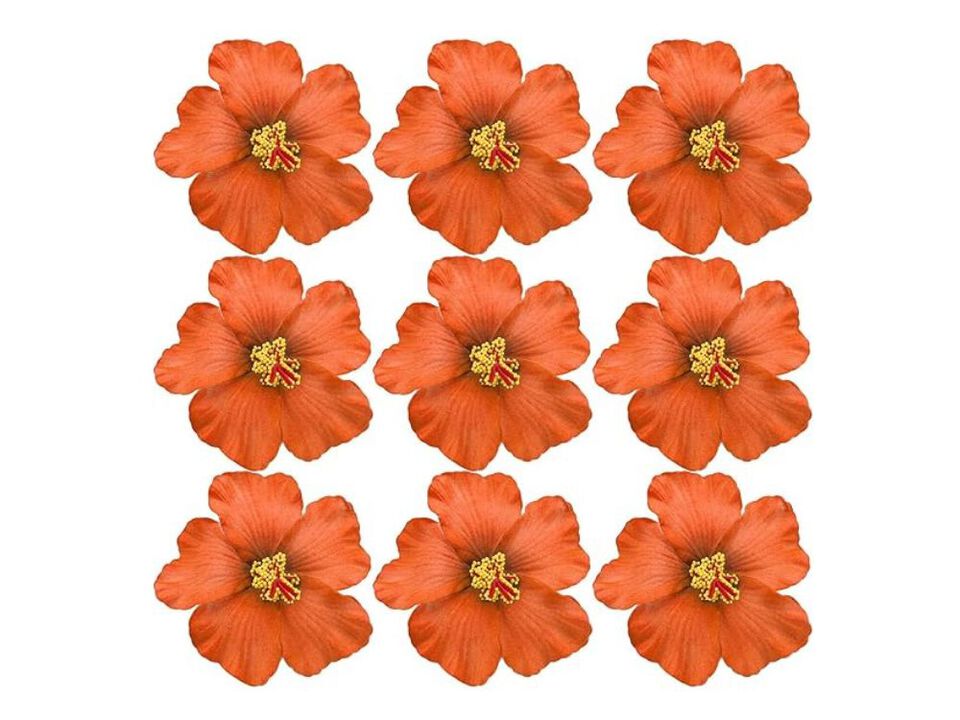 20 Piece Orange Artificial Hibiscus Flowers Home Decor Hawaiian