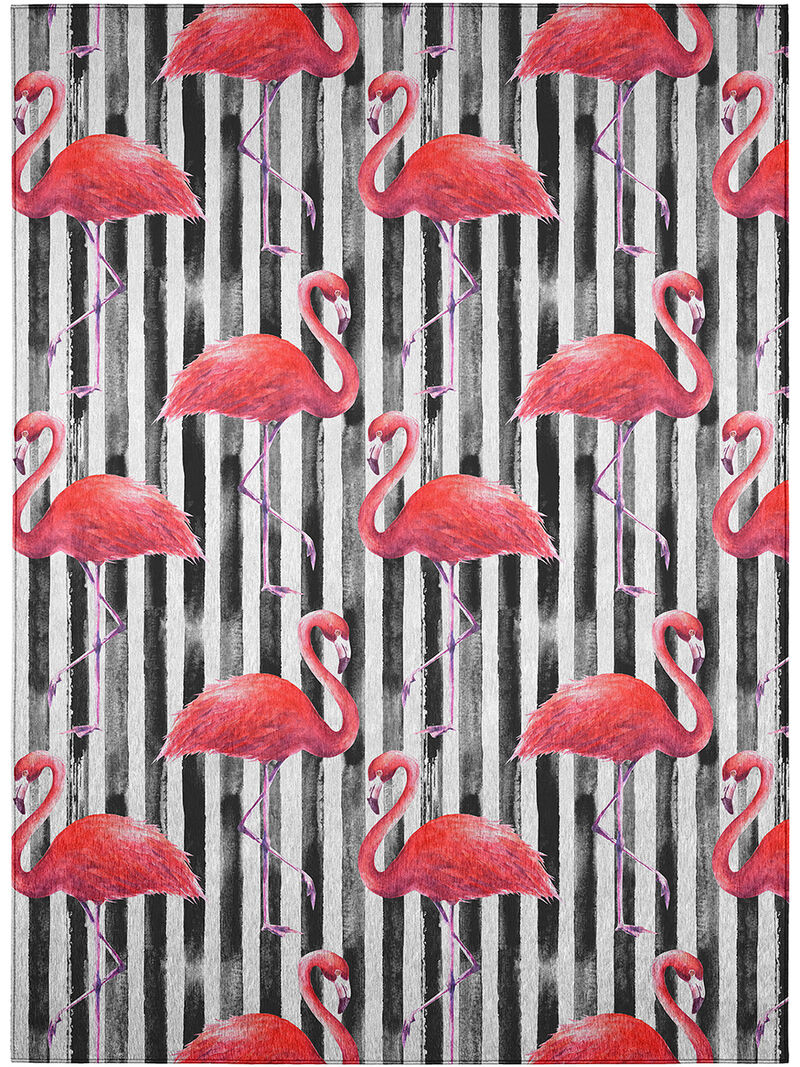 Tropics TC9 Collection