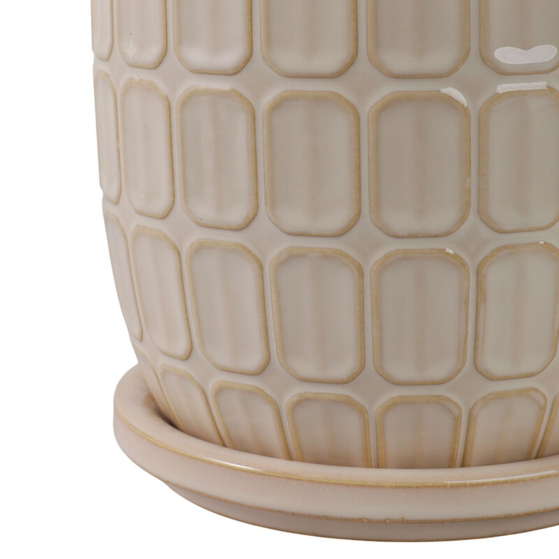 S/2 Squoval Saucer Planters image number 4
