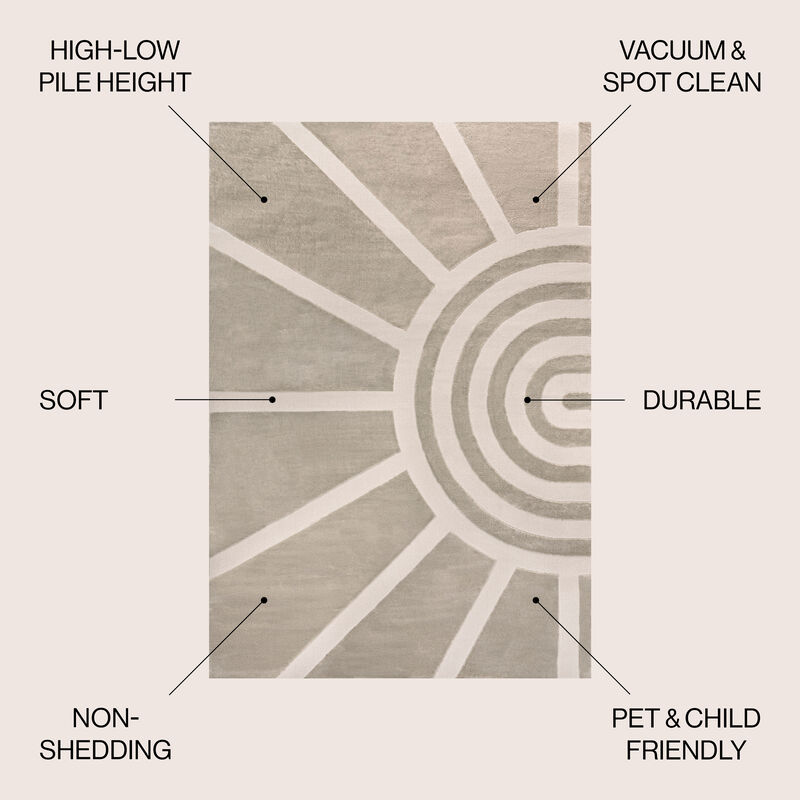 Aelius MidCentury Scandinavian Abstract Sun Two-Tone High-Low Area Rug