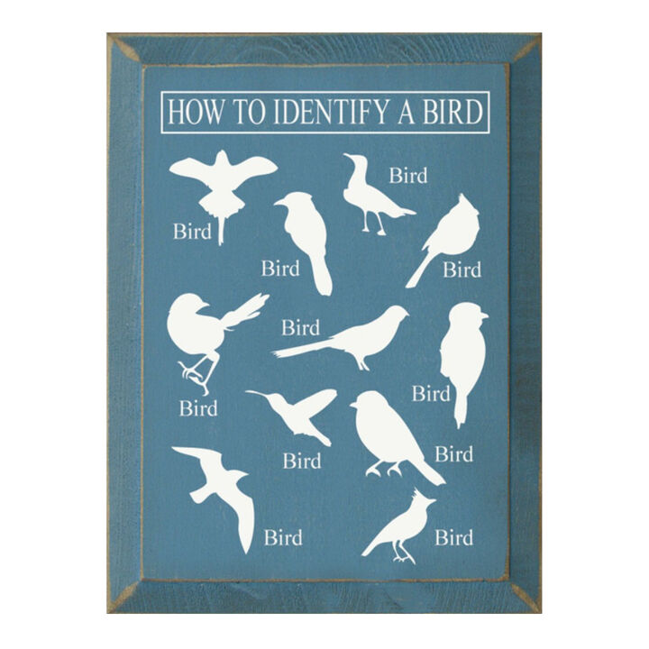 Bird Identification Chart Wall Decor From Solid Knotty Pine
