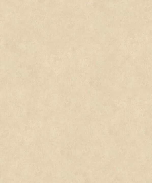 The New Textures Mottled Texture Beige Wallpaper TE3226023