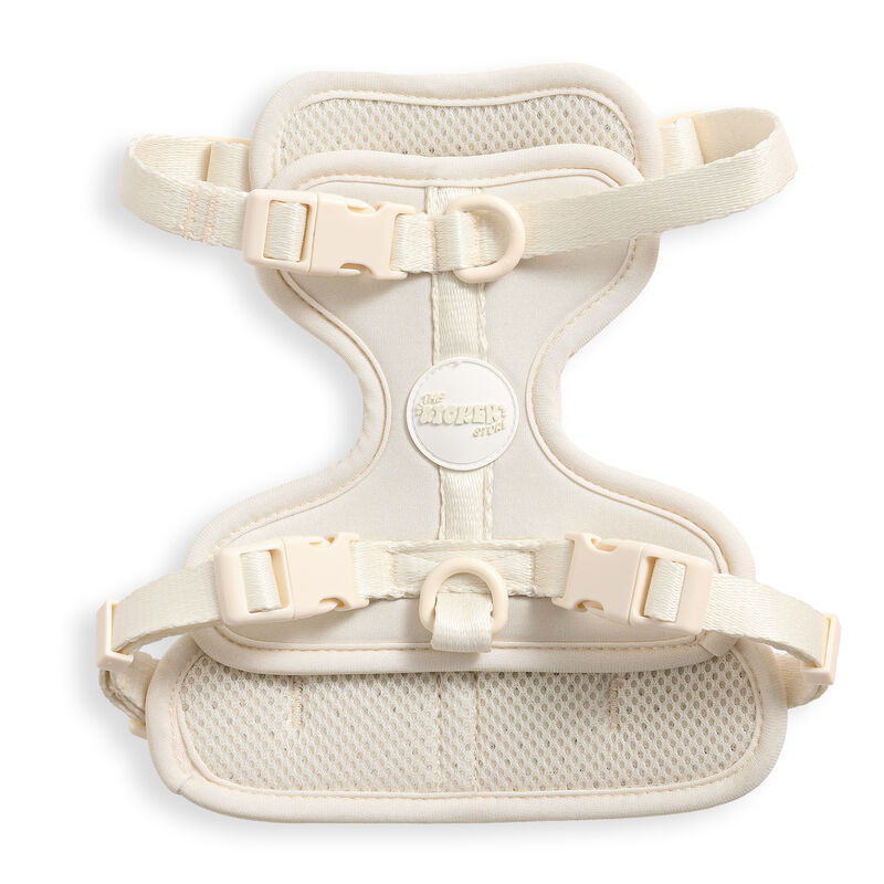 Arlo Adjustable Soft Padded No Pull Pet Harness with 3 Buckles and 3 Leash Clips