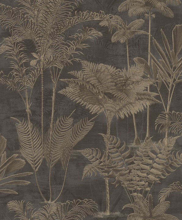 Kinabalu Black Rainforest Wallpaper