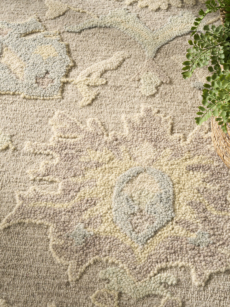 Maison MSO01 Taupe/Ivory 5'9" x 8'9" Rug