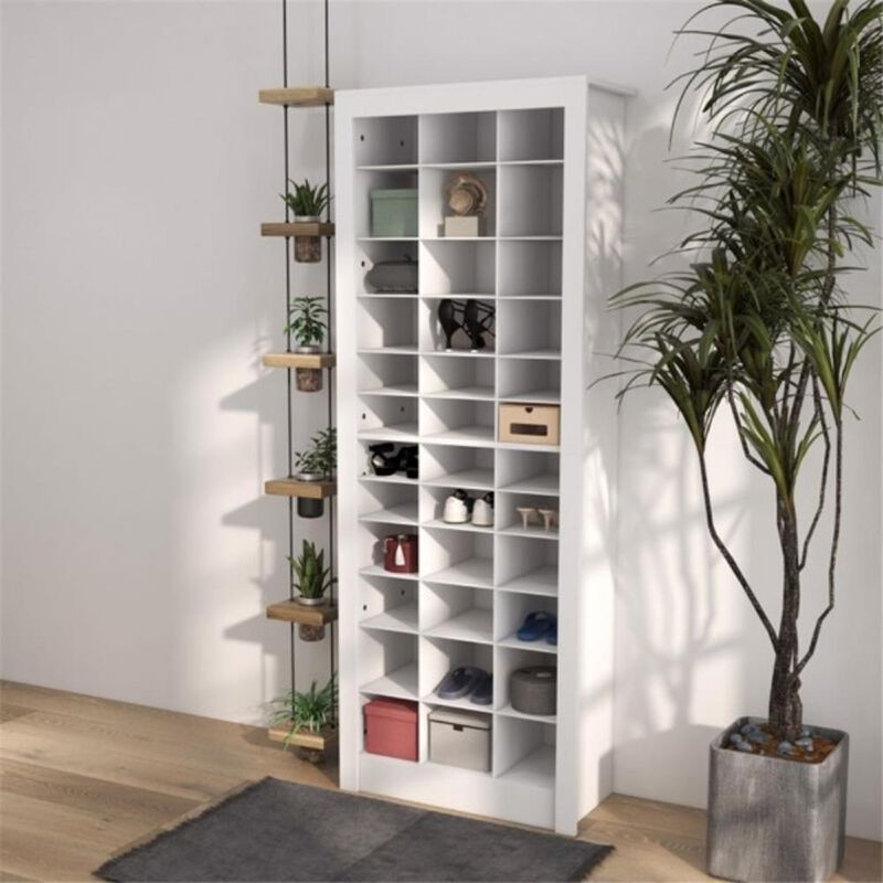 Shoe Storage Cabinet Space-Saving and Stylish Organizer for Shoes and Accessories