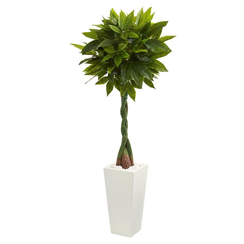 Nearly Natural 5.5-in Money Artificial Tree in Tower Planter (Real Touch)