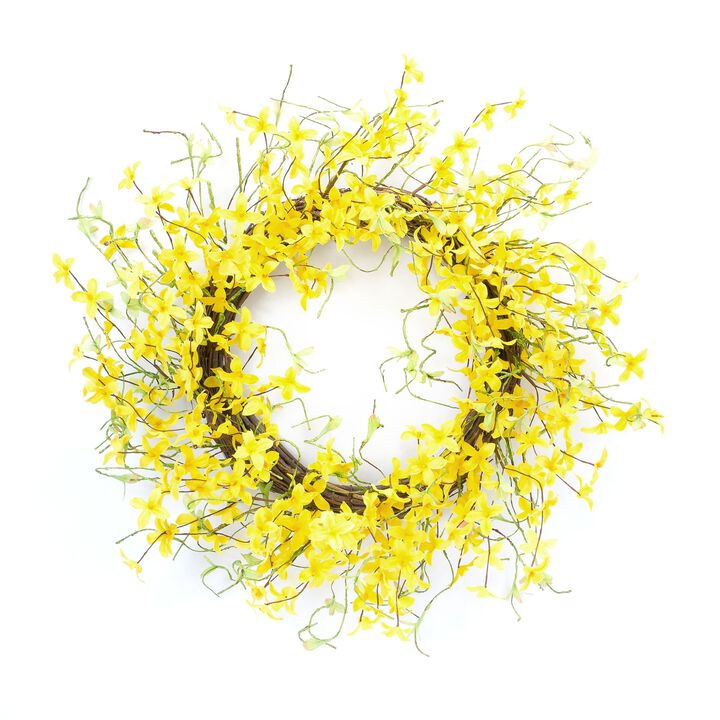 Yellow Forsythia Twig Spring Floral Wreath  21.75-Inch