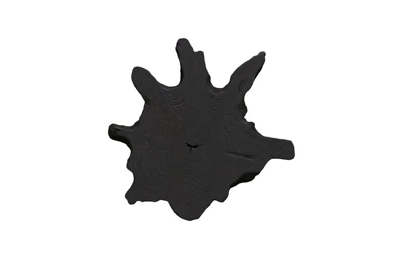 Freeform Teak Wall Slice