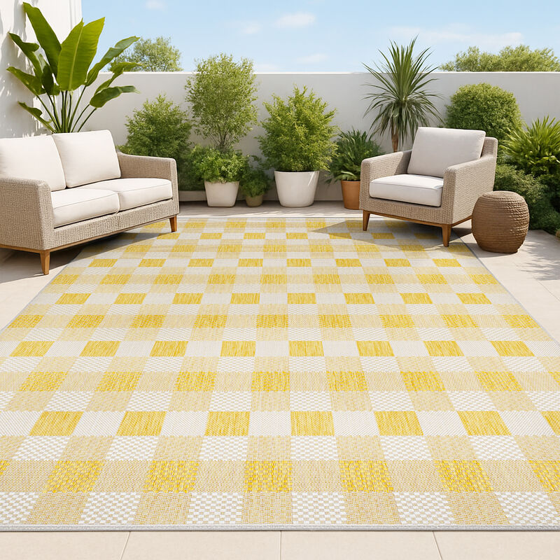 Darcy Traditional Geometric Bold Gingham Indoor/Outdoor Area Rug