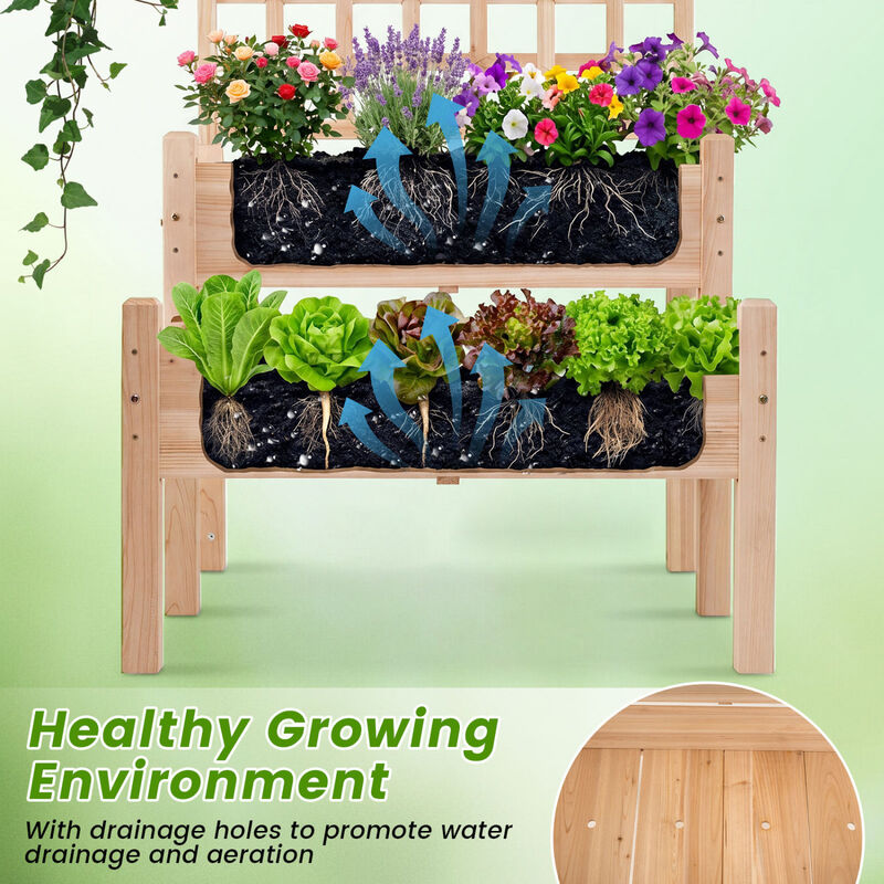 Wooden Raised Garden Bed with Trellis for Vines, Flowers and Vegetables image number 4