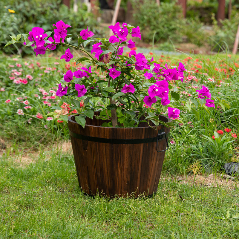 Wooden Whiskey Barrel Planters, Medium