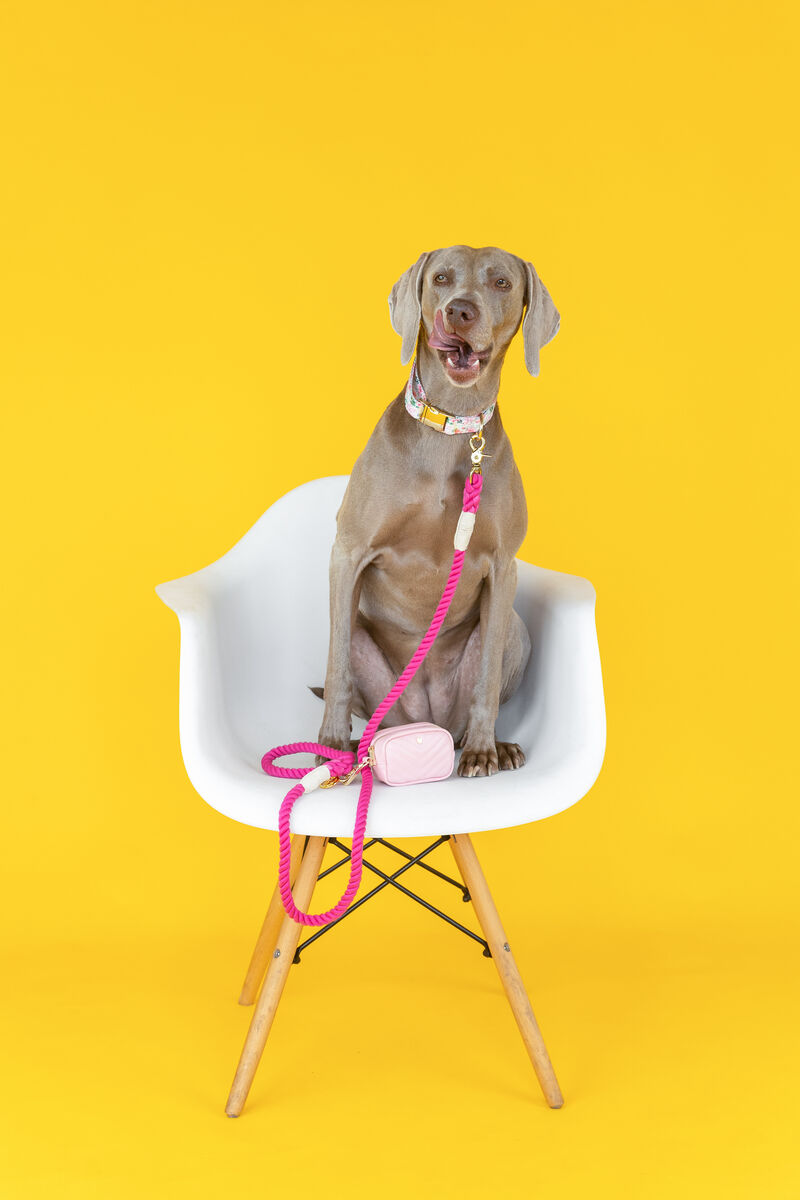 Christine Rope Dog Leash image number 1