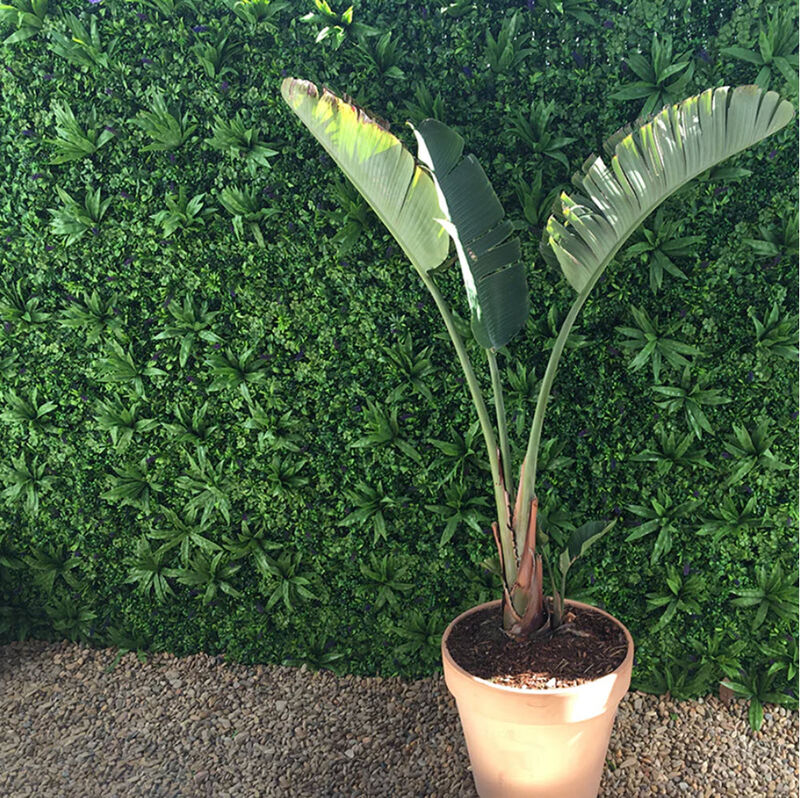 Natural Artificial Boxwood Wall 40" x 40" 11SQ FT Commercial Grade UV Resistant image number 3