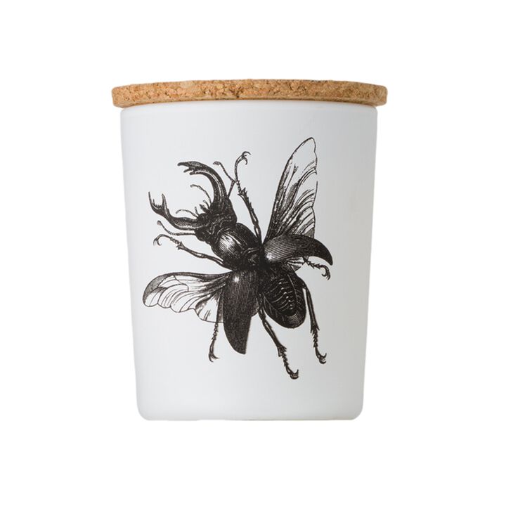 Candle in Jar INSECT 190gr LUCANUS CERVUS 3.35 diam. x 4.13 in