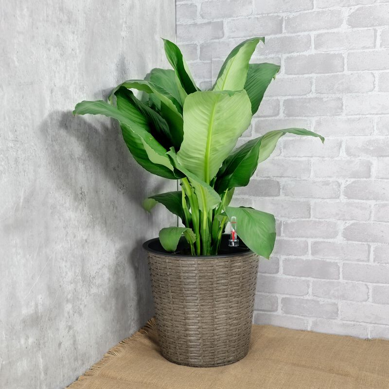 13.4" Self-watering Wicker Decor Round Planter for Indoor and Outdoor image number 2