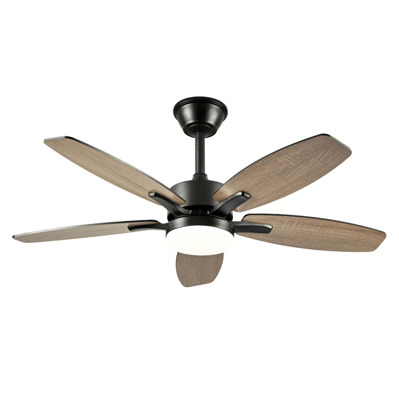 ELEMENT ACE 42 Inch 5 Plywood Blades Ceiling Fan with Lights and Remote Control, Quiet DC Motor 6 Speed Levels Reversible Fan for Indoor Living Room Bedroom Office Patio image number 0