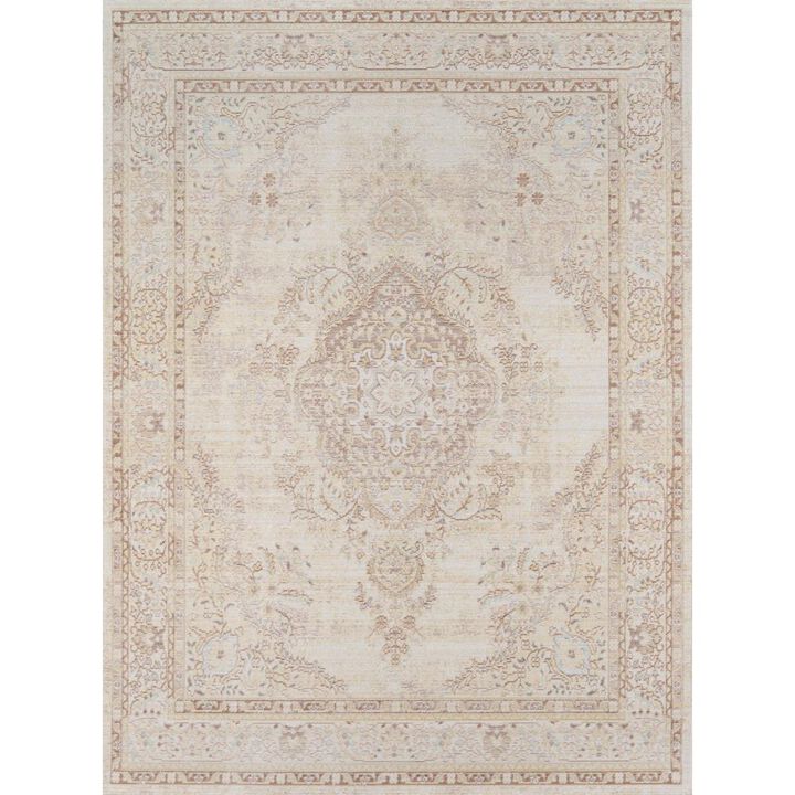 Momeni Traditional Rectangle Area Rug