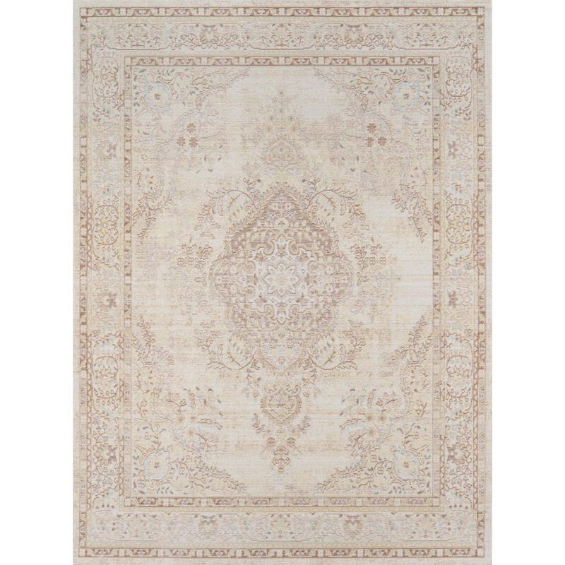 Momeni Traditional Rectangle Area Rug