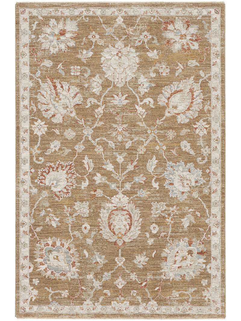 Infinite IFT04 Mocha 5'3" x 7'8" Rug